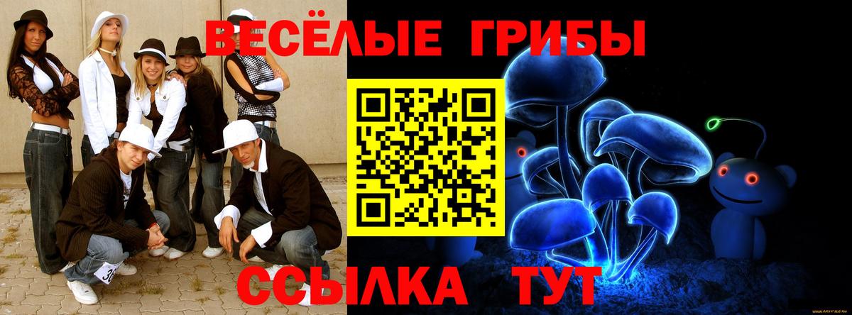 что такое   Псилоцибиновые грибы мицелий  Вход с VPN  Псилоцибиновые грибы Psilocybe  Шахты 
